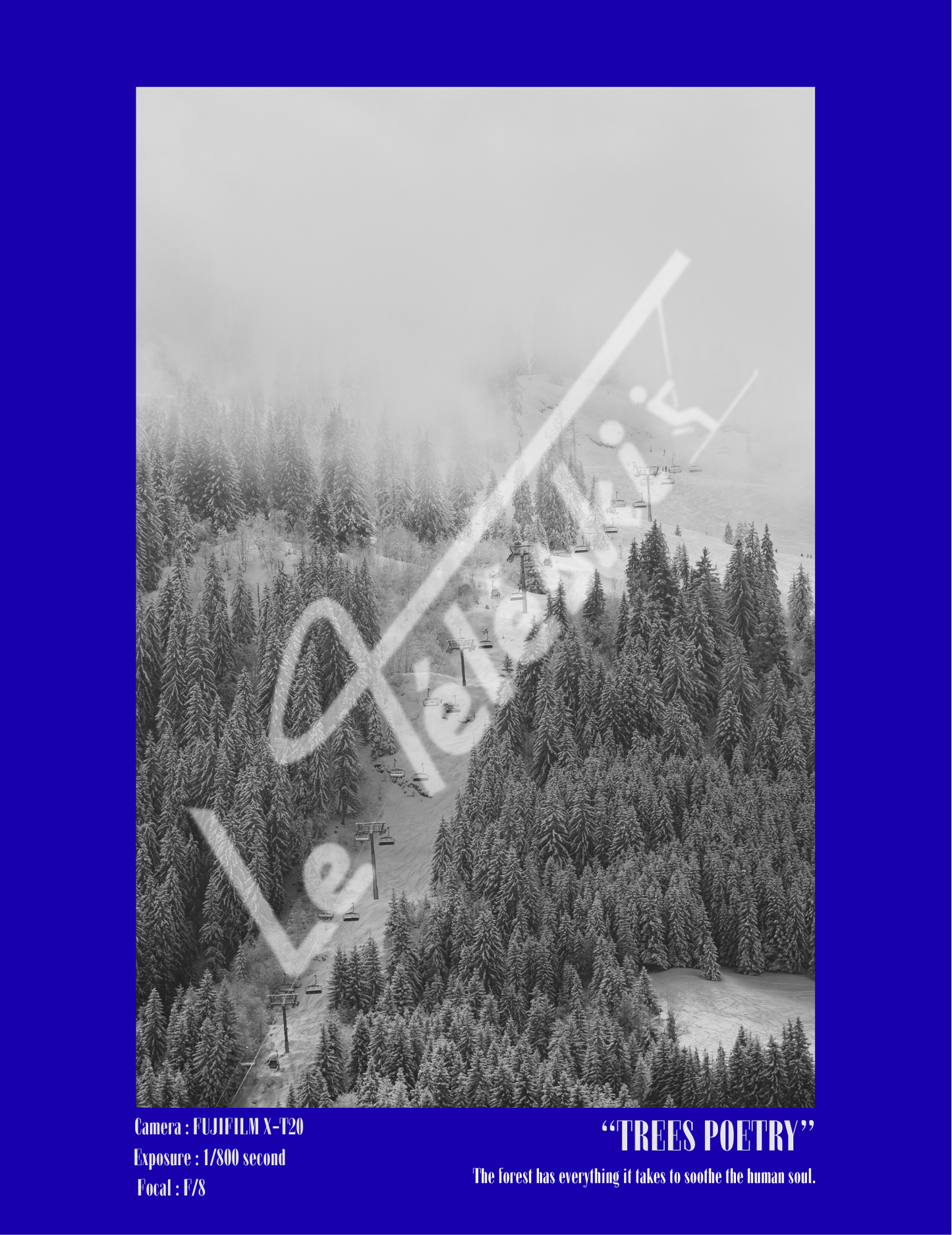 TREES POETRY