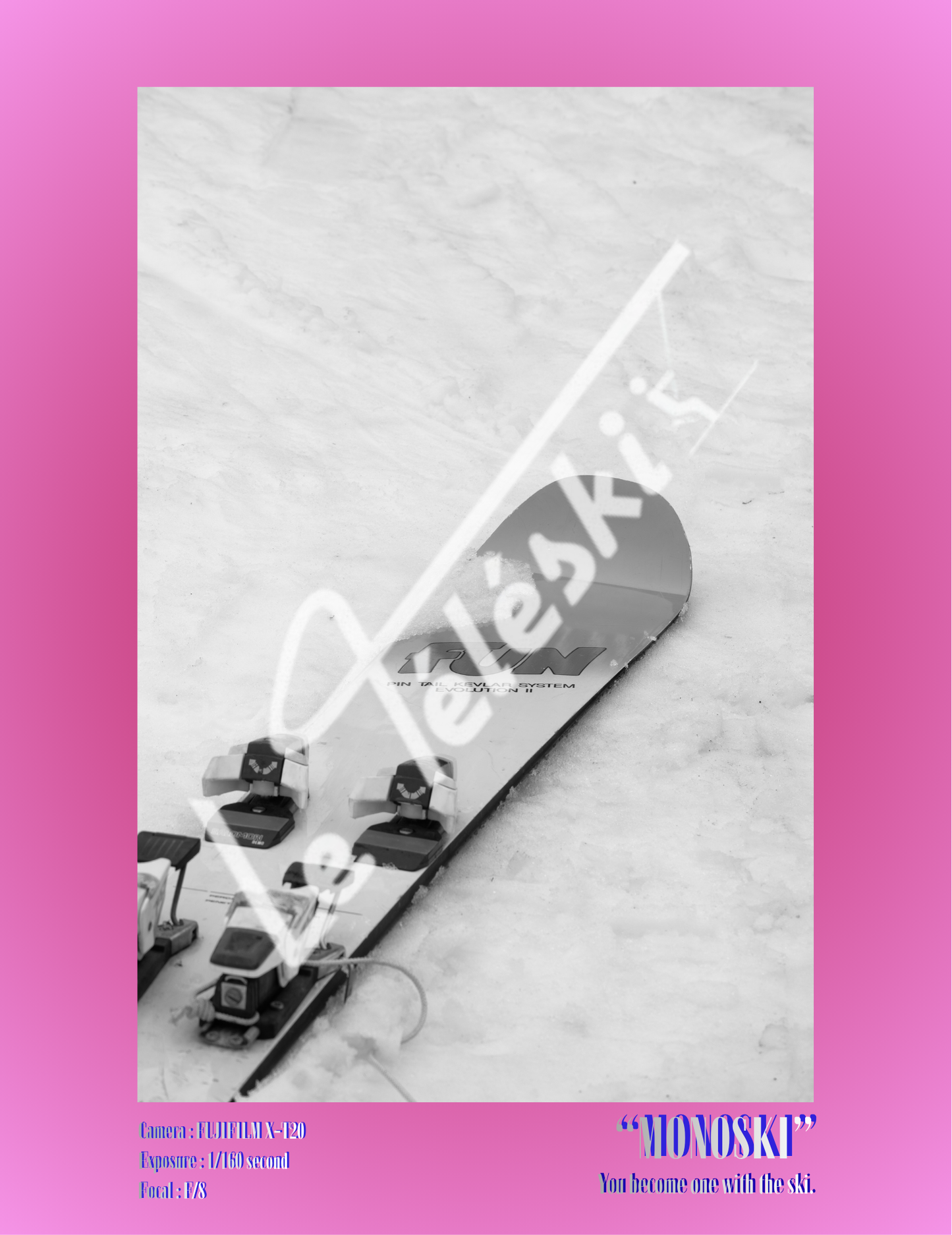 MONOSKI