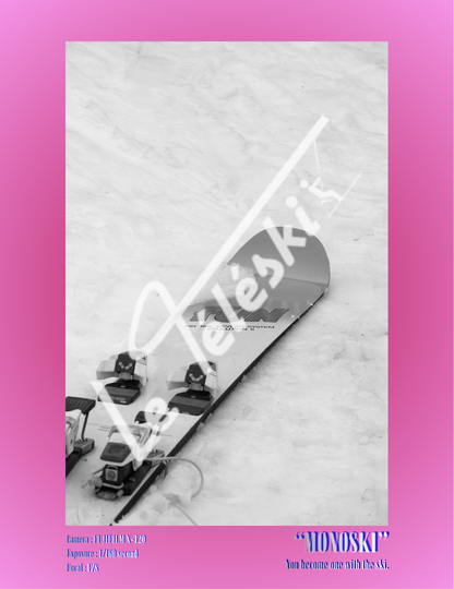MONOSKI